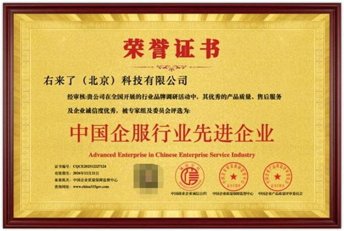 右來(lái)了科技榮獲“中國(guó)企服行業(yè)先進(jìn)企業(yè)”稱(chēng)號(hào)，彰顯信息系統(tǒng)集成服務(wù)卓越實(shí)力